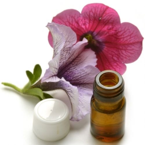 Dégustation Et Excellence Formation Degustation Professionnels) (14)